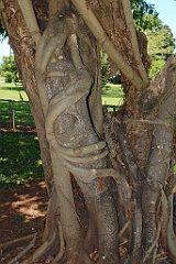 0509 Freshwater Railway Station